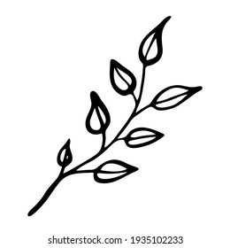 Plant or flower leaf. Branch with leaves. Hand-drawn. Single element. Doodle, sketch, icon. Vector illustration of modern, seasonal designs, prints, backgrounds. On a white background.