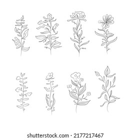 Plant, flower and leaf line art set vector illustration. Nature Doodles for pattern brush and art.