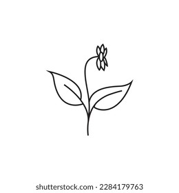 plant flower logo line natural vector illustration