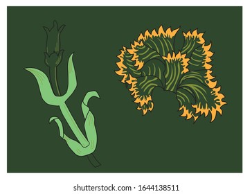 Plant and a flower on green surface. A green  flower and plant separated each other.