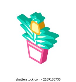 plant flower pineapple isometric icon vector. plant flower pineapple sign. isolated symbol illustration