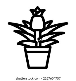 plant flower pineapple line icon vector. plant flower pineapple sign. isolated contour symbol black illustration