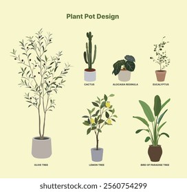 Plant Flower Pot Design Illustration - olive, cactus, alocasia, eucalyptus, lemon, bird of paradise