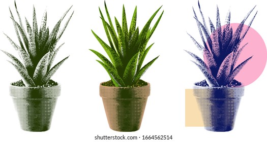 Plant in flower pot halftone vector in vintage dotted style green print element