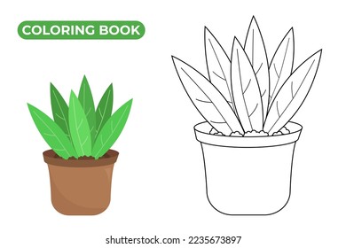 Planta en maceta de flores. Ilustración vectorial aislada de plantas domésticas. Dibujo de líneas en blanco y negro y dibujo de colores. Colorido de la página.