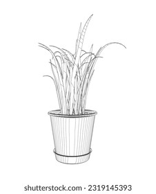 Plant in flower pot outline. Line, solid and filled outline version, outline and filled vector sign. Home plant symbol. Flowers in pots painted black line on a white background. Vector drawing lines.