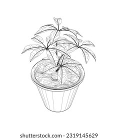 Plant in flower pot outline. Line, solid and filled outline version, outline and filled vector sign. Home plant symbol. Flowers in pots painted black line on a white background. Vector drawing lines.