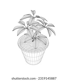 Plant in flower pot wireframe. Line wireframe version, outline and filled vector sign. Home plant symbol. Flowers in pots painted black line on a white background. Vector drawing lines.