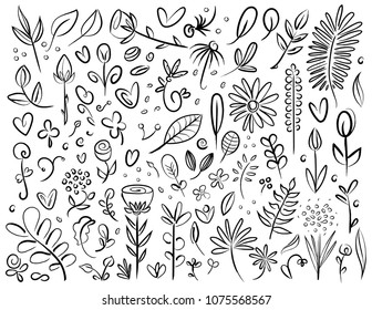 Plant and Flower Specimen Doodle Set Black Silhouettes Digital Drawing