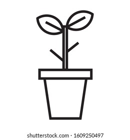 Plant and Flower vector line icon illustration
