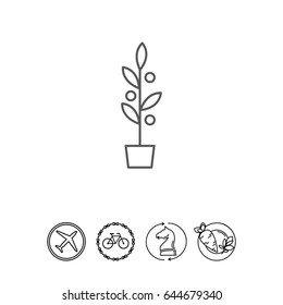 Plant in flowerpot