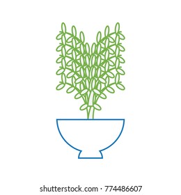 plant in a flowerpot