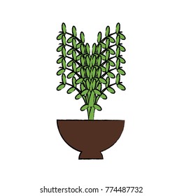 plant in a flowerpot