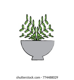 plant in a flowerpot