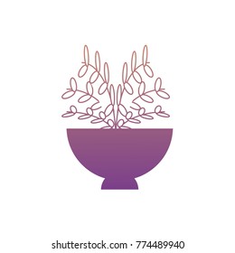 plant in a flowerpot