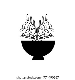 plant in a flowerpot