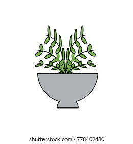 plant in a flowerpot
