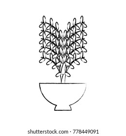 plant in a flowerpot