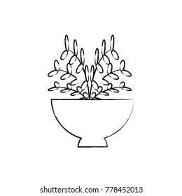 plant in a flowerpot