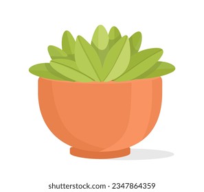 Plant in flowerpot concept. Gardening and agriculture. Decor element for house and apartment. Template, layout and mock up. Cartoon flat vector illustration isolated on white background