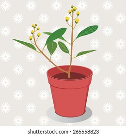 plant in flowerpot vector illustration