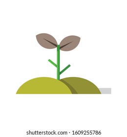 Plant and Flowers Flat Vector Illustration