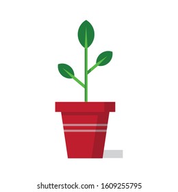 Plant and Flowers Flat Vector Illustration