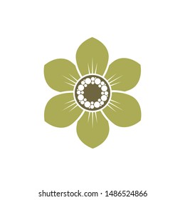 plant flowers logo icon vector