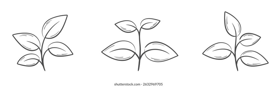 Plant with four leaves line illustrations. Nature, gardening and planting design elements. Isolated vector images
