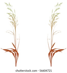 plant frame