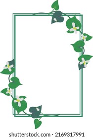 Plant frame Japanese Houttuynia cordata flower