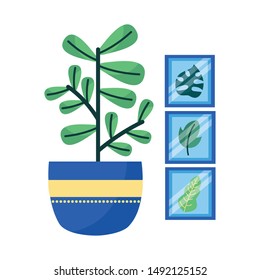 Plant and frames design, Garden ornament nature botany natural and floral theme Vector illustration