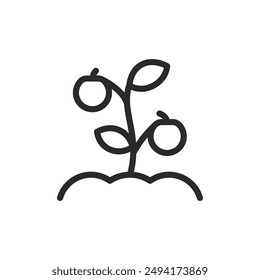 Plant with fruits, linear style icon. fruit-bearing plant. Editable stroke width