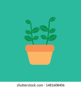plant garden pot icon vector illustration
