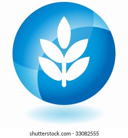 plant glass