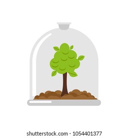 Plant in Glass Bell. Laboratory jar and wood. For poster about environment.
