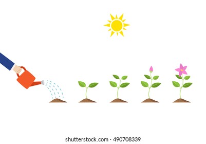 Plant glowing, Abstract saving money, vector 