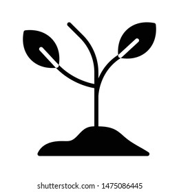 plant glyph flat vector icon