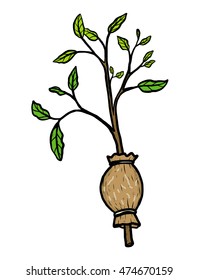 plant graft / cartoon vector and illustration, hand drawn style, isolated on white background.
