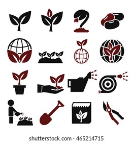 plant, grain icon set