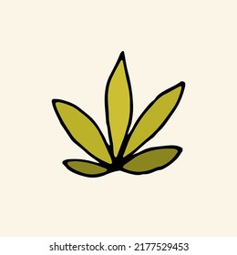 Plant, grass, algae. Vector. Doodle. Hand drawn illustration.