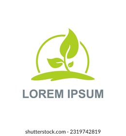Plant green botany logo vector image
