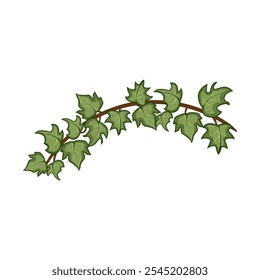 plant green ivy cartoon. foliage climbing, vine leaves, growth lush plant green ivy sign. isolated symbol vector illustration