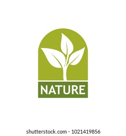 plant green leaf nature vector logo