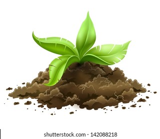 plant with green leaves growing from the ground isolated on white background - eps10 vector illustration