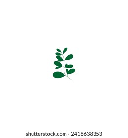 plant with green leaves vector plant