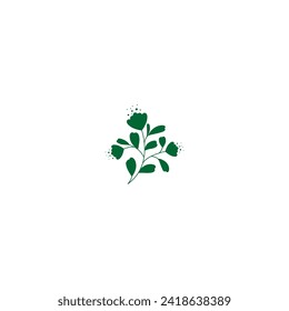plant with green leaves vector plant