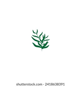 plant with green leaves vector plant