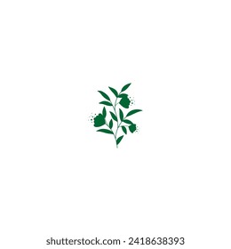 plant with green leaves vector plant