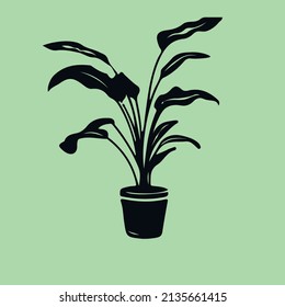 plant green on black botany decorations 